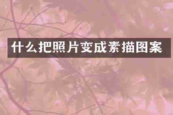 什么把照片变成素描图案