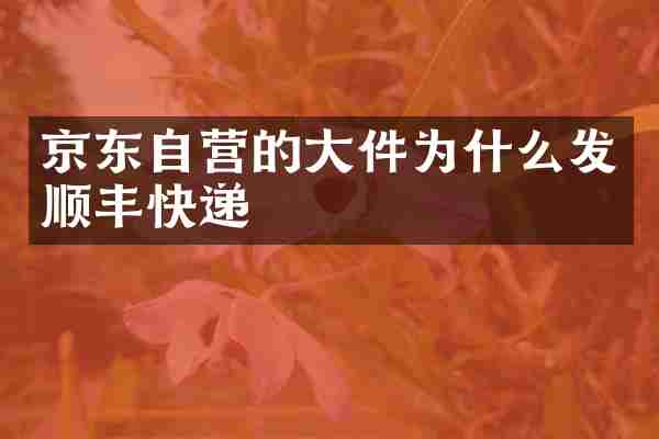 京东自营的大件为什么发顺丰快递