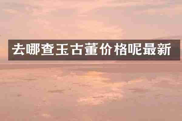 去哪查玉古董价格呢最新