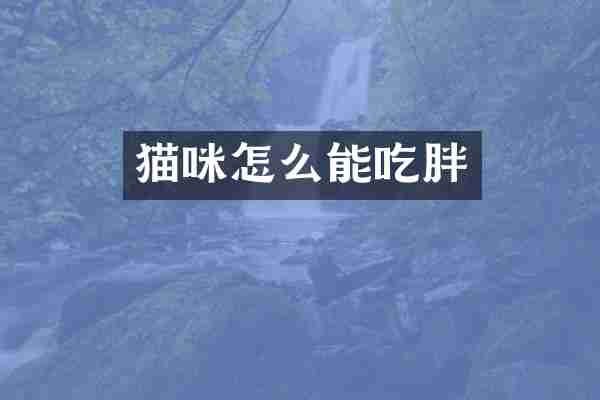 猫咪怎么能吃胖
