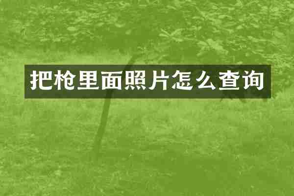 把枪里面照片怎么查询