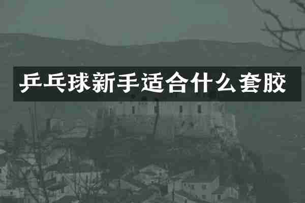 乒乓球新手适合什么套胶