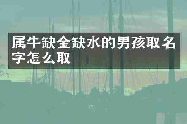 属牛缺金缺水的男孩取名字怎么取