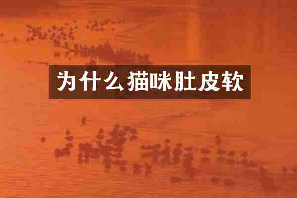 为什么猫咪肚皮软