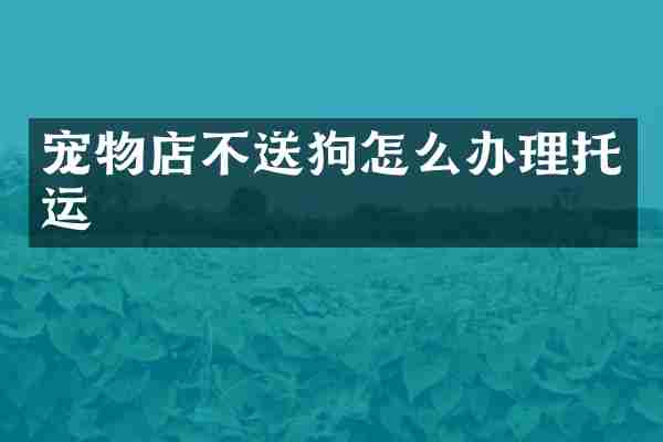 宠物店不送狗怎么办理托运