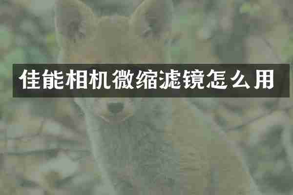 佳能相机微缩滤镜怎么用