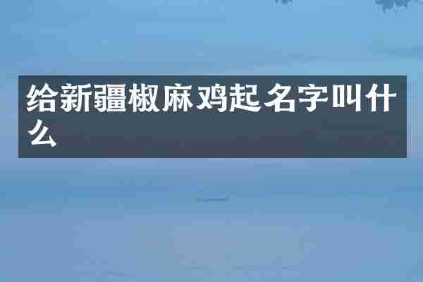 给新疆椒麻鸡起名字叫什么