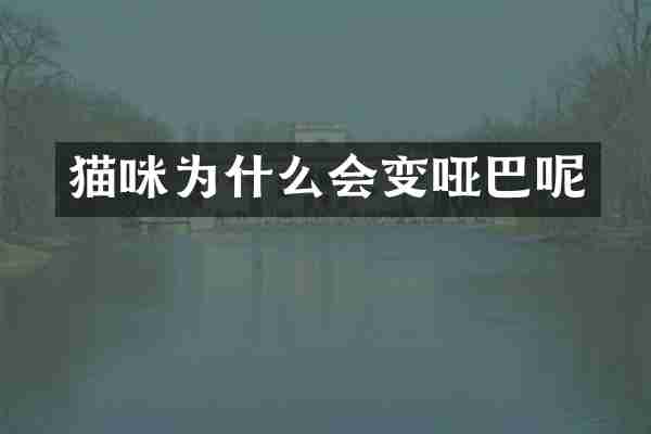 猫咪为什么会变哑巴呢