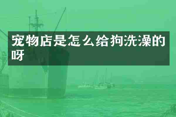 宠物店是怎么给狗洗澡的呀