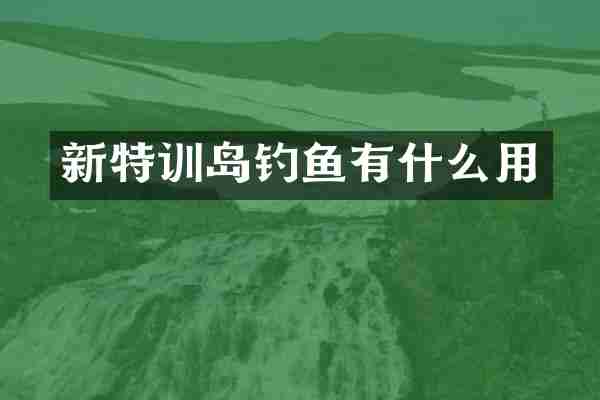 新特训岛钓鱼有什么用