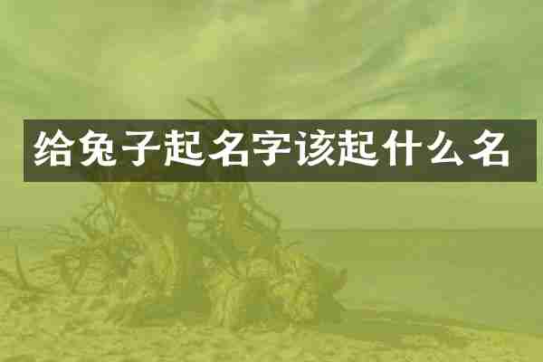 给兔子起名字该起什么名