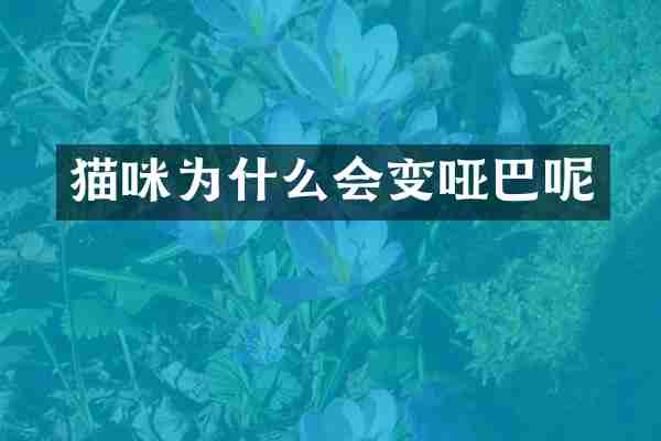 猫咪为什么会变哑巴呢