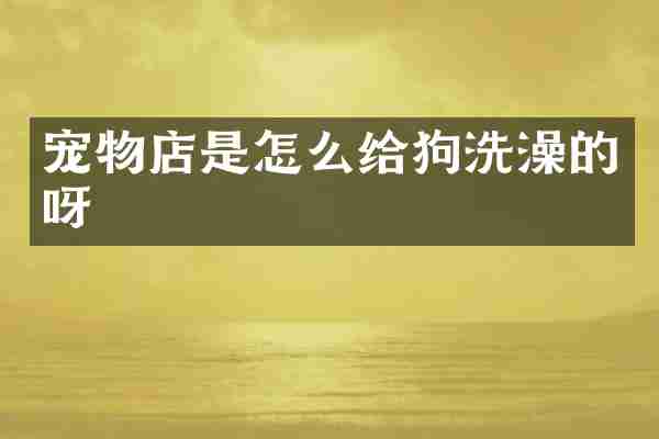 宠物店是怎么给狗洗澡的呀