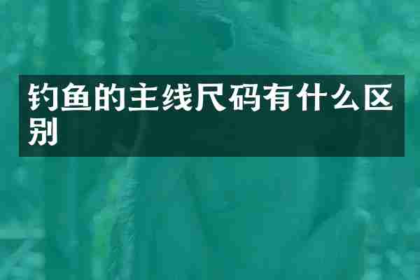 钓鱼的主线尺码有什么区别