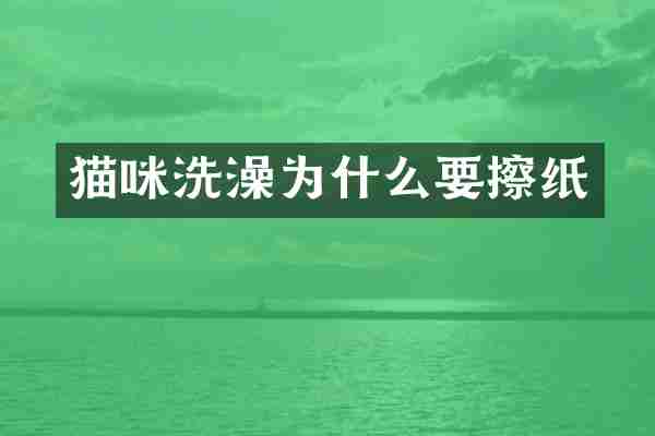 猫咪洗澡为什么要擦纸
