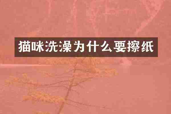 猫咪洗澡为什么要擦纸
