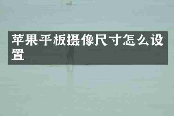 苹果平板摄像尺寸怎么设置