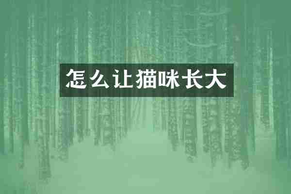 怎么让猫咪长大