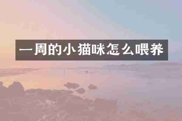 一周的小猫咪怎么喂养