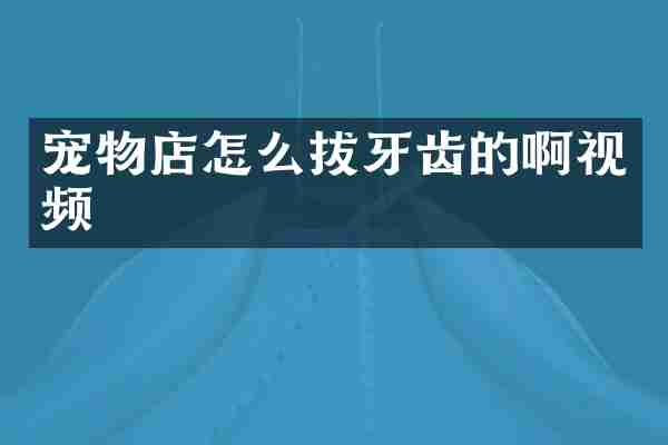 宠物店怎么拔牙齿的啊视频