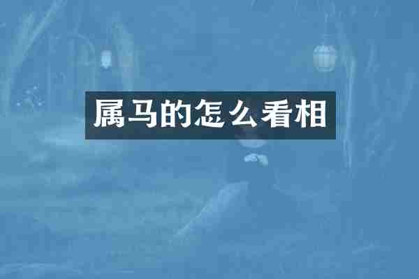 属马的怎么看相
