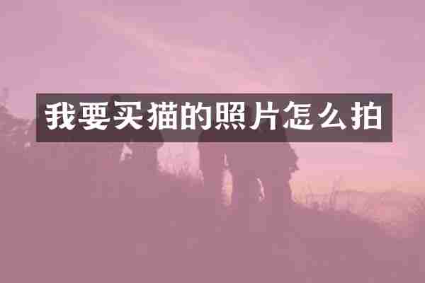 我要买猫的照片怎么拍