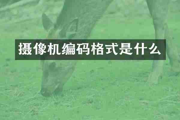 摄像机编码格式是什么