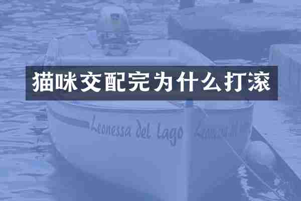 猫咪交配完为什么打滚