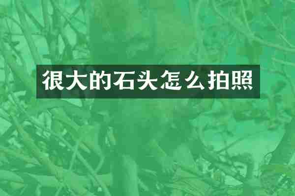 很大的石头怎么拍照