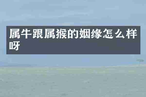 属牛跟属猴的姻缘怎么样呀