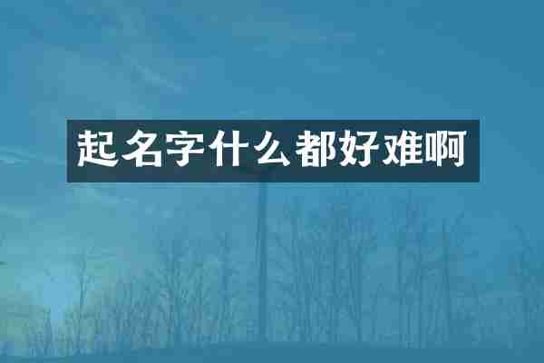 起名字什么都好难啊