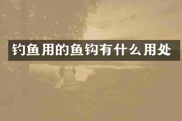 钓鱼用的鱼钩有什么用处