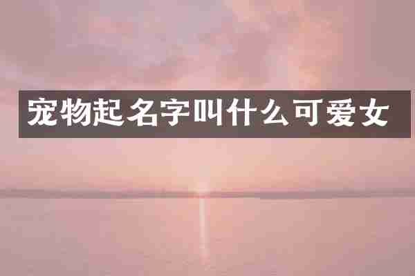 宠物起名字叫什么可爱女