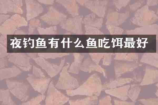 夜钓鱼有什么鱼吃饵最好