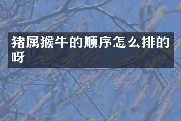 猪属猴牛的顺序怎么排的呀