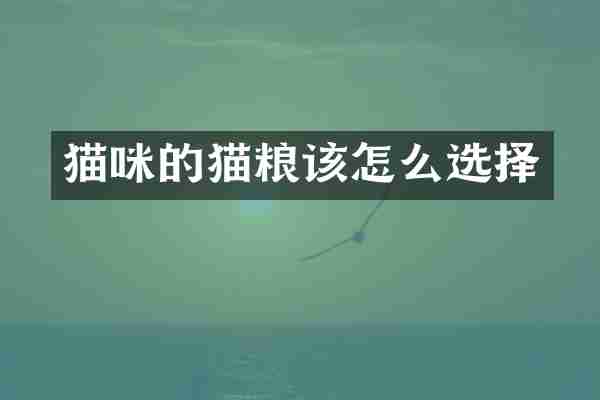 猫咪的猫粮该怎么选择