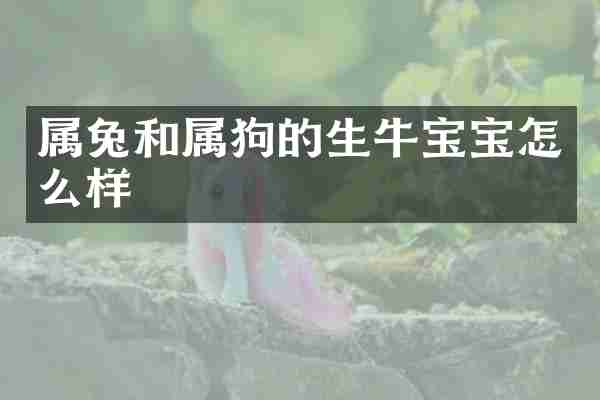属兔和属狗的生牛宝宝怎么样
