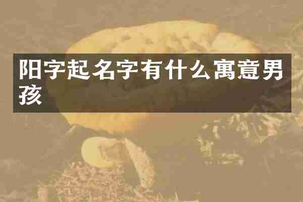 阳字起名字有什么寓意男孩