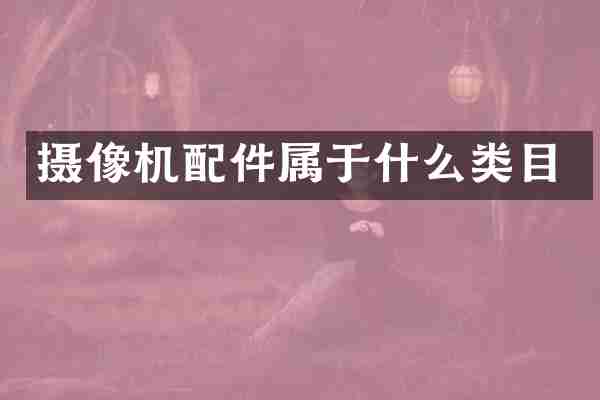 摄像机配件属于什么类目