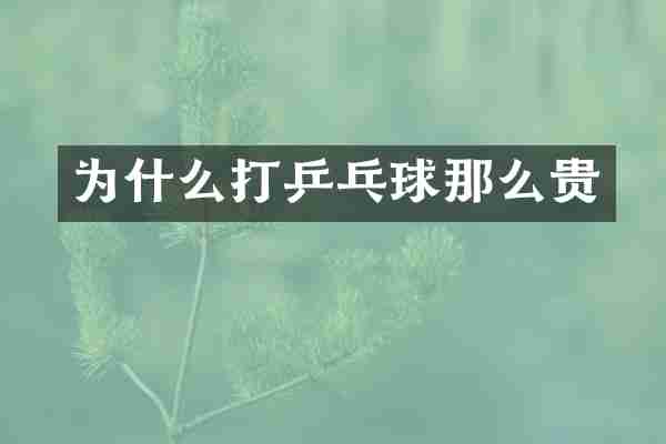 为什么打乒乓球那么贵