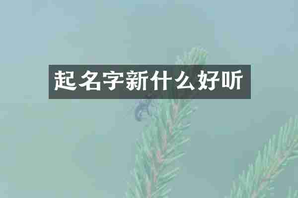 起名字新什么好听