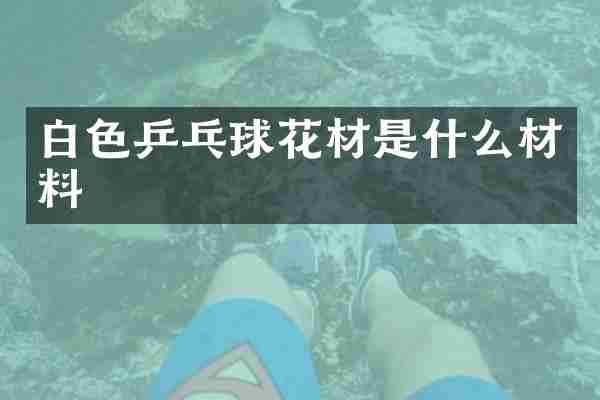 白色乒乓球花材是什么材料