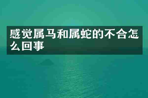 感觉属马和属蛇的不合怎么回事