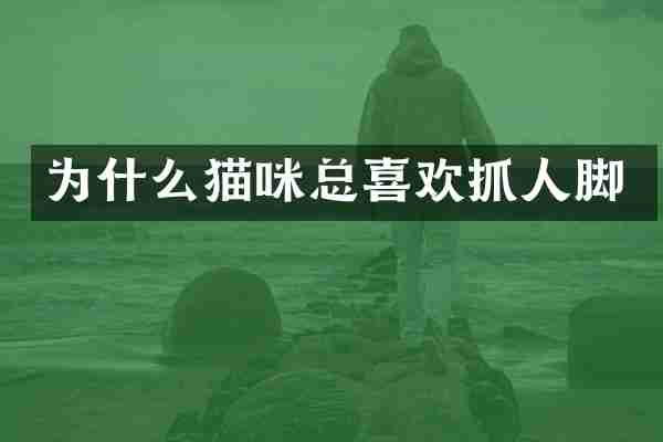 为什么猫咪总喜欢抓人脚