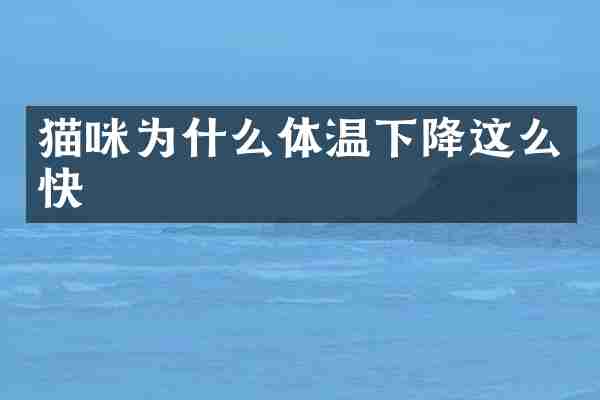 猫咪为什么体温下降这么快