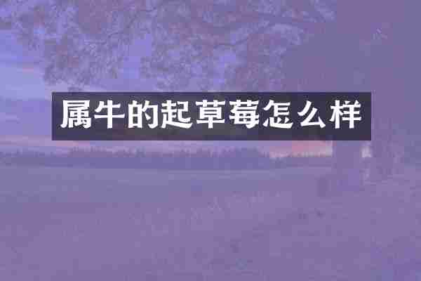 属牛的起草莓怎么样