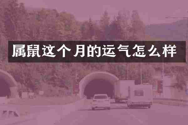 属鼠这个月的运气怎么样