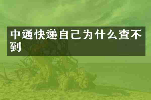 中通快递自己为什么查不到