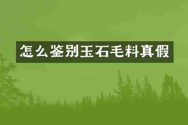 怎么鉴别玉石毛料真假