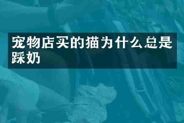 宠物店买的猫为什么总是踩奶
